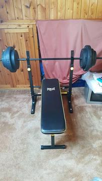 Everlast Folding Bench With 50kg Weights RRP £130!!