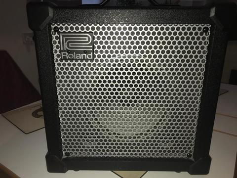 Roland Cube 20xl amp