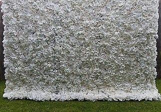 Extra Large 8ft x 8ft Ivory/white Hydrangea Flower Wall