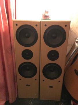 Studio Sound EC-1000 Floor Standing Speakers