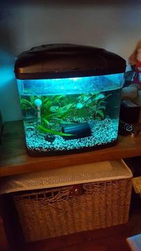 30 litre fish tank and accessories