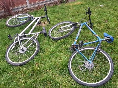 Two adult mountain bikes (grey & blue)