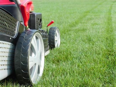 LAWN CARE TREATMENT FRANCHISE OPPORTUNITY REF 145252
