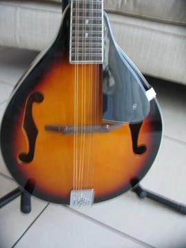 Martin Smith mandolin