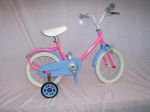 Childs Tricycle