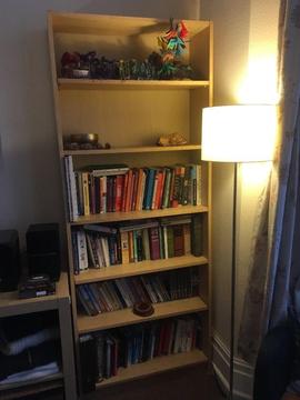 Book case/shelves (and all books)