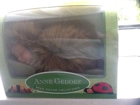 Anne Geddes hedgehog