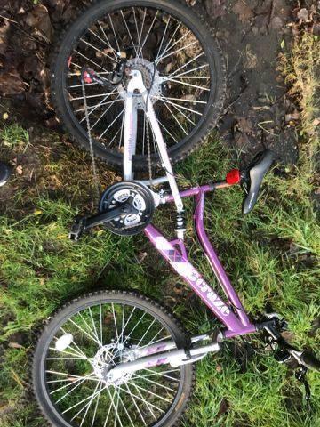 Girls mounting bike