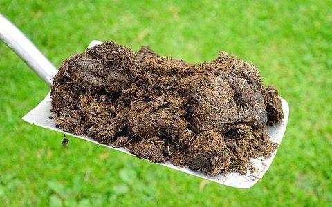 Garden and Allotment Manure - Free Delivery