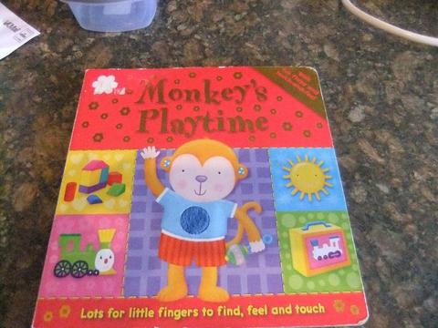 Monkeys Playtime Book