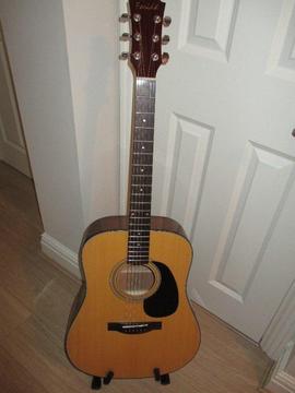 Farida D8NA steel strung acoustic guitar