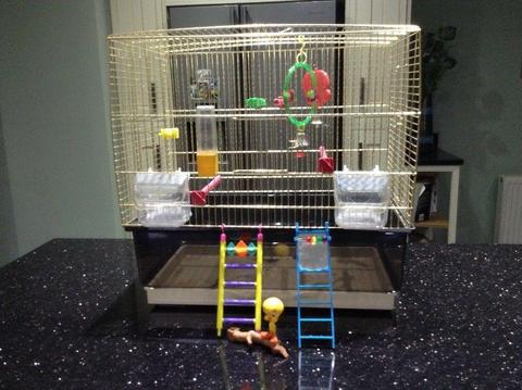 Budgie cage