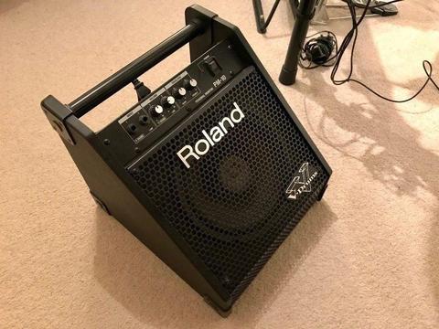 Roland PM-10 Amplifier Speaker