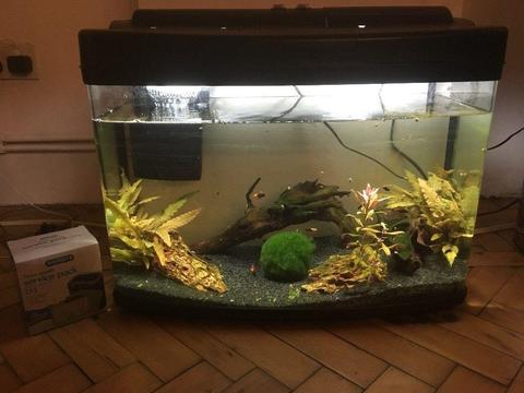 Interpet Fish Pod Glass Aquarium, 64 L