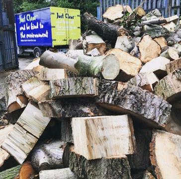 Free Wood to cut up and split for firewood