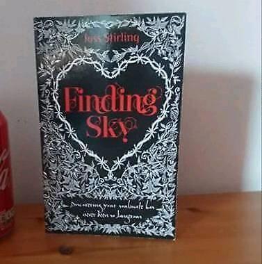 Finding sky novel