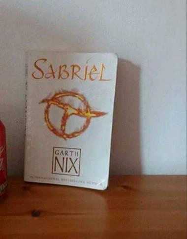 Sabriel Gareth nix novel