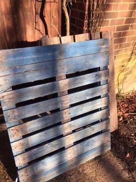 2 FREE PALLETS - ONE EURO BLUE PALLET