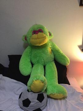 Free cuddly toy to good home