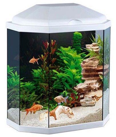25l Aquarium Fish Tank