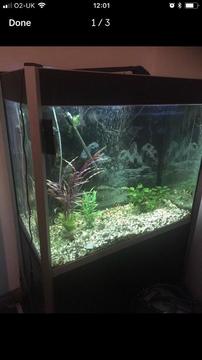 Fish Tank for Sale