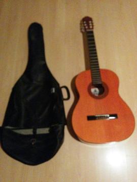 Guitar with case in good condition