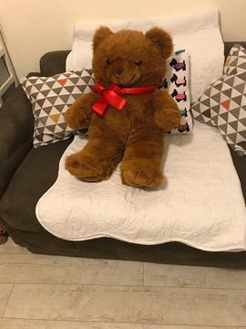 Very large valentine teddy as new
