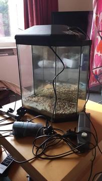 Fish tank, light, filter and heater