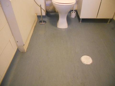 £3 PER SQ METER Top Quality Lino Vinyl Flooring in BLUE Ideal for Kitchen Bathroom Utility Room