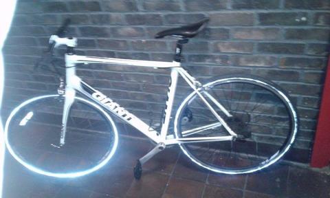 FULLY SERVICED Men Women GIANT DEFY ALUXX Super Lightweight Road Racer Bicycle GREAT CONDITION