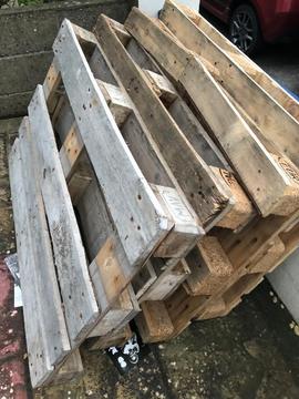 Free wooden pallets. - Torquay