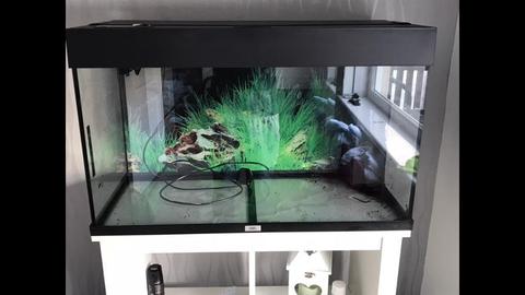 125 litre fish tank