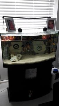 Juwel 180 litre fish tank aquarium and cabinet