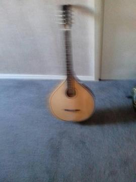 Octave mandolin