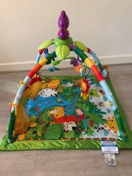 Fisher Price Rainforest Deluxe baby gym mat