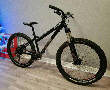 Custom Specialized P Series All Mountain