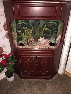 Corner Fish Tank and Cabinet