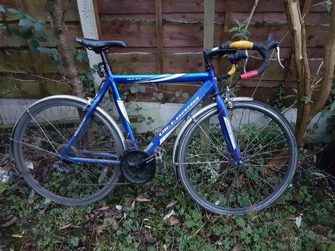 21 speed Road bike with Mud guards + new tires & inner tubes