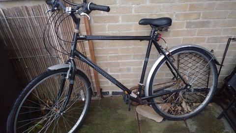 23'' frame bike (big bike) - needs fixing