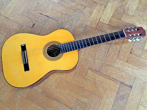 Acoustic Classical Guitar