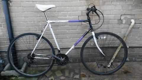 Mans Raleigh Pioneer Hybrid Bike