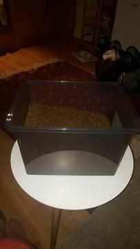 Free Box of Royal Cannin Dry Cat Food