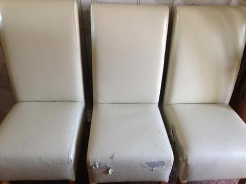 Free 6 dining chairs