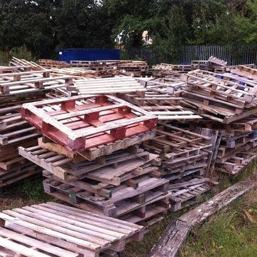 FREE PALLETS - Great for DIY Projects and Kindling