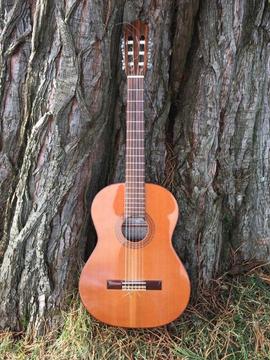 Guitar Almansa Senorita 403 Classical Guitar Cedar 7/8 Size Lovely Tone Quality Instrument