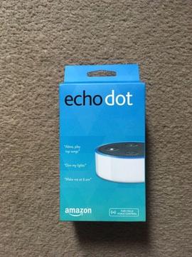 Echo Dot