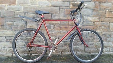 FULLY SERVICED RALEIGH LARGE FRAME SIZE BICYCLE