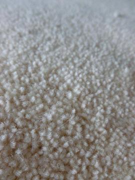 New wool cream carpet