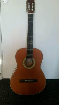 Hudson Guitar