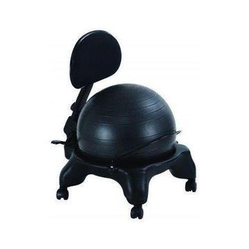 New Office Fitness Exercise Ball Chair with Adjustable Back Rest